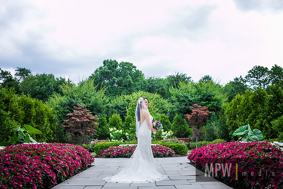 IMG_3038