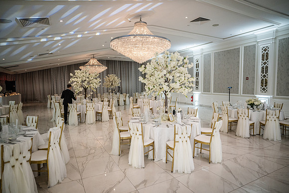 Z5B_9003bci
