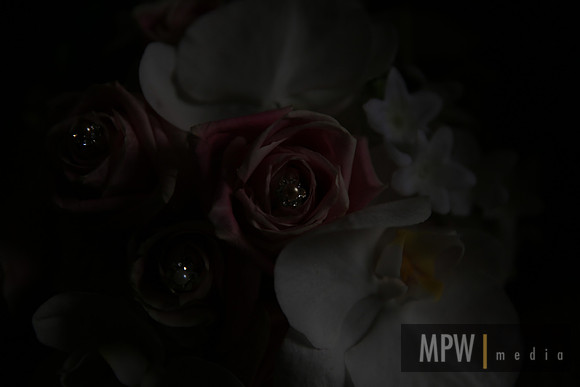 MPW25956