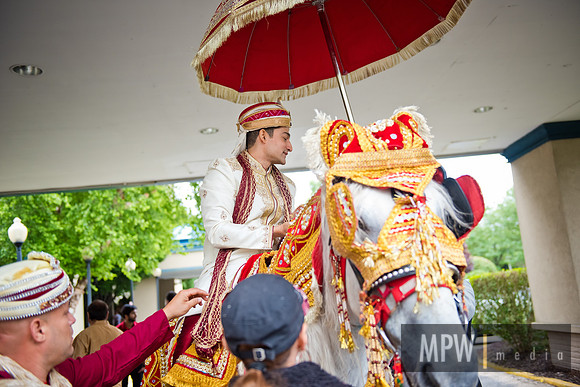RON- T+L baraat-78