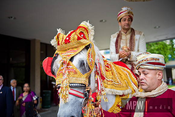 RON- T+L baraat-81