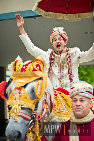 RON- T+L baraat-100