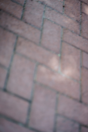 EW0A2312