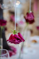 Z5B_8681dri