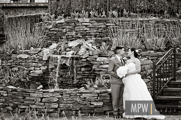 MPW_8491