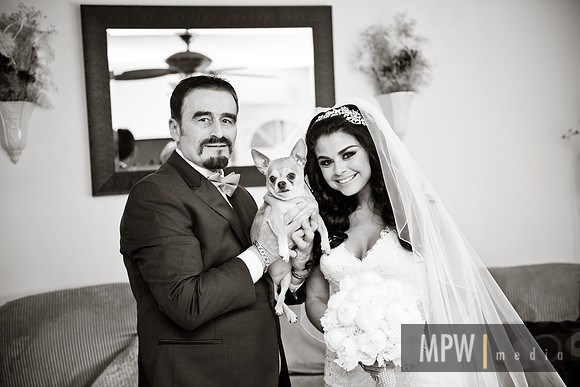 MPW_8446