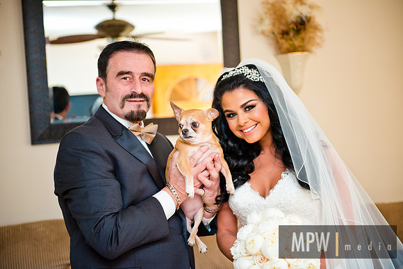 MPW_8441