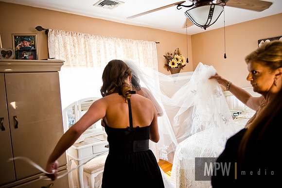 MPW_8281