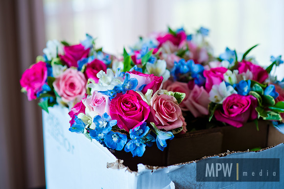 MPW_2884
