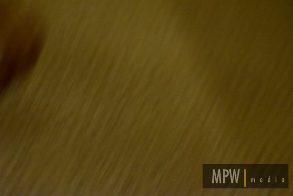MP2_1219