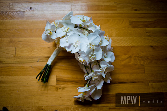 MP2_4166