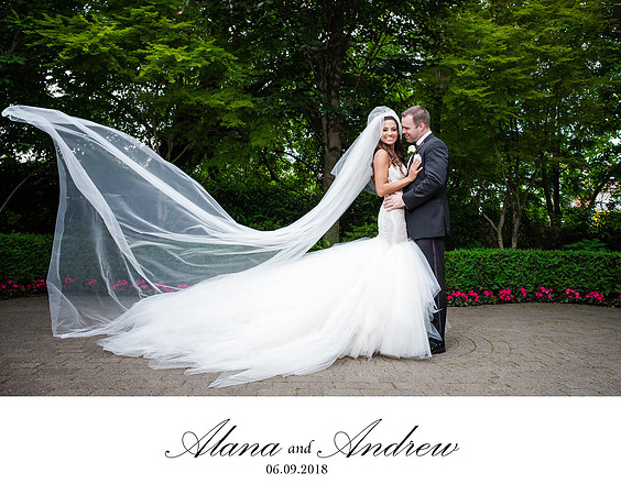 COVER Albrecht