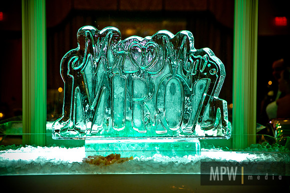 MPW22384
