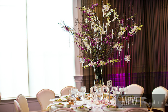 AB_IMG-0863