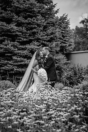 DSC03788-Edit-2