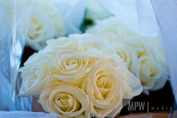 MPW_6784