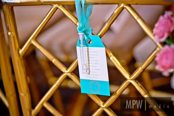 MPW_6113