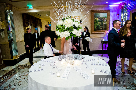 MPW_6132