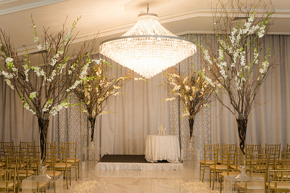IMG_4113